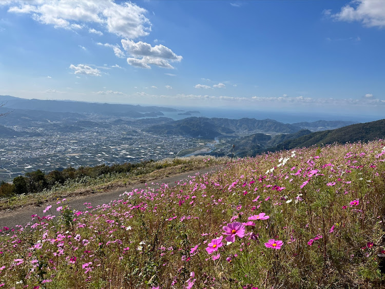 GRヤリスのドライブ・和歌山・鷲ヶ峰コスモスパーク・生石高原・あらぎ島に関するカスタム事例の投稿画像2枚目