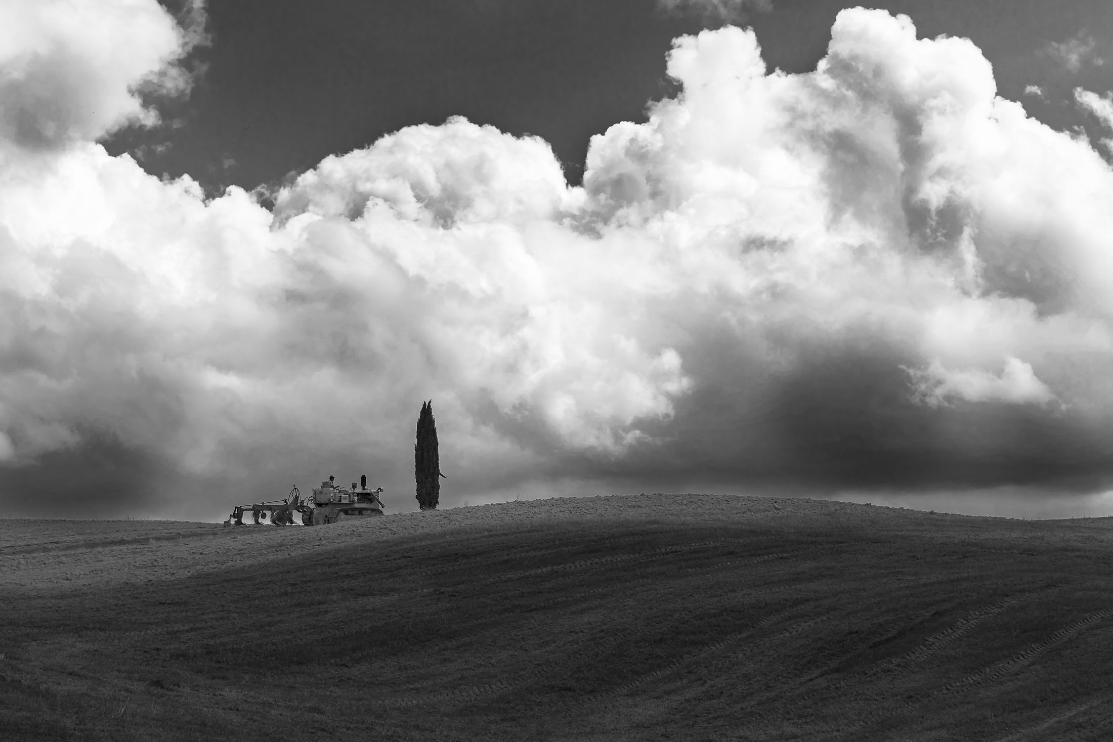 Preparativi...il ciclo ricomincia.... di stefanogaleotti