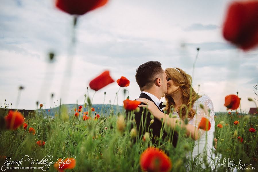 Fotografo di matrimoni Paul Budusan (paulbudusan). Foto del 28 giugno 2016