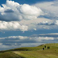 nuvole e vigne di 