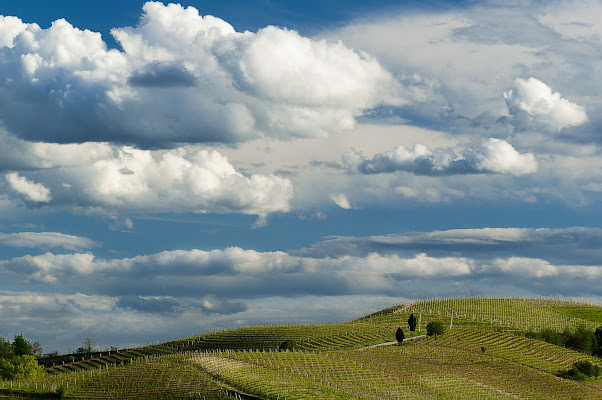 nuvole e vigne di FassiFab