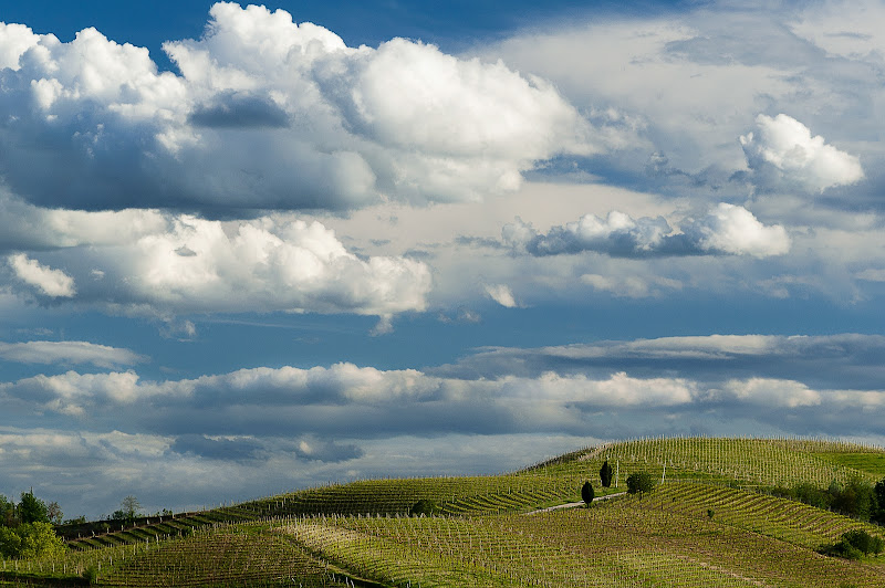 nuvole e vigne di FassiFab