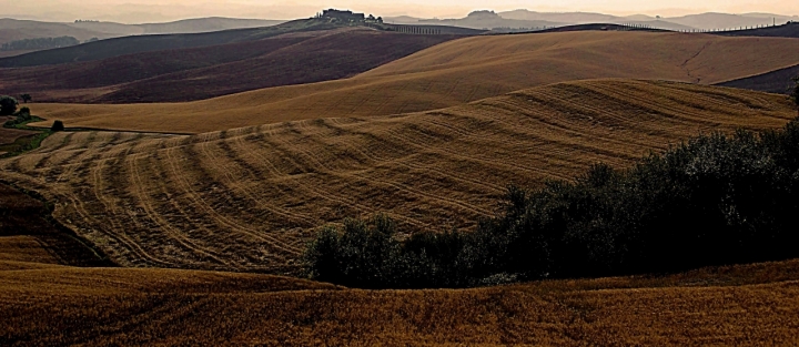 Terra di Siena di mariarosa-bc