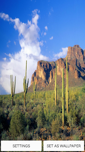 Green Desert Live Wallpaper