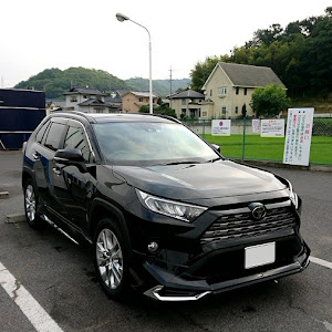 RAV4 MXAA54