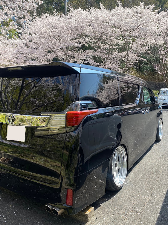ヴェルファイアのアルヴェル乗りさんと繋がりたい・型落ちiPhone撮影・サクラと愛車・桜とコラボ🌸に関するカスタム事例の投稿画像2枚目