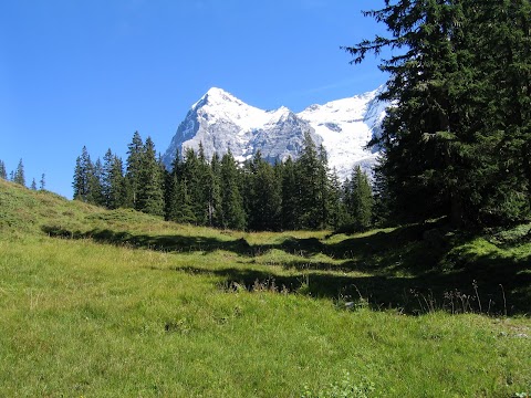 Viaje por los Alpes - Blogs de Suiza - El valle de Lauterbrunnen (12)