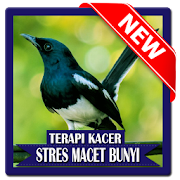 Kacer Stress Mp3  Icon