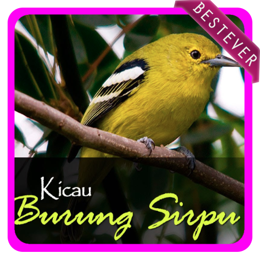 Koleksi Suara Burung Sirtu Pikat Offline Mp3 2019