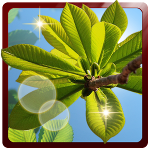 Nature Landscape 3D Live logo