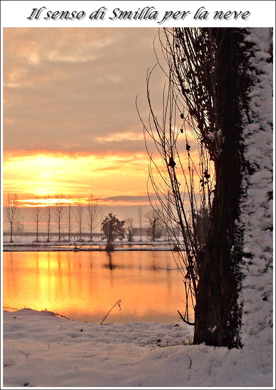 Il senso di Smilla per la neve di www.fioregiallophoto.it