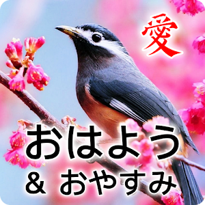 Download Japanese Good Morning & Good Night Wishes Love For PC Windows and Mac