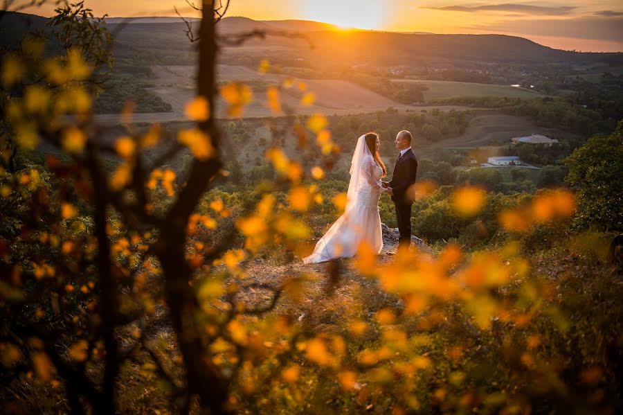 結婚式の写真家Norbert Szász (weddingohu)。2021 11月15日の写真