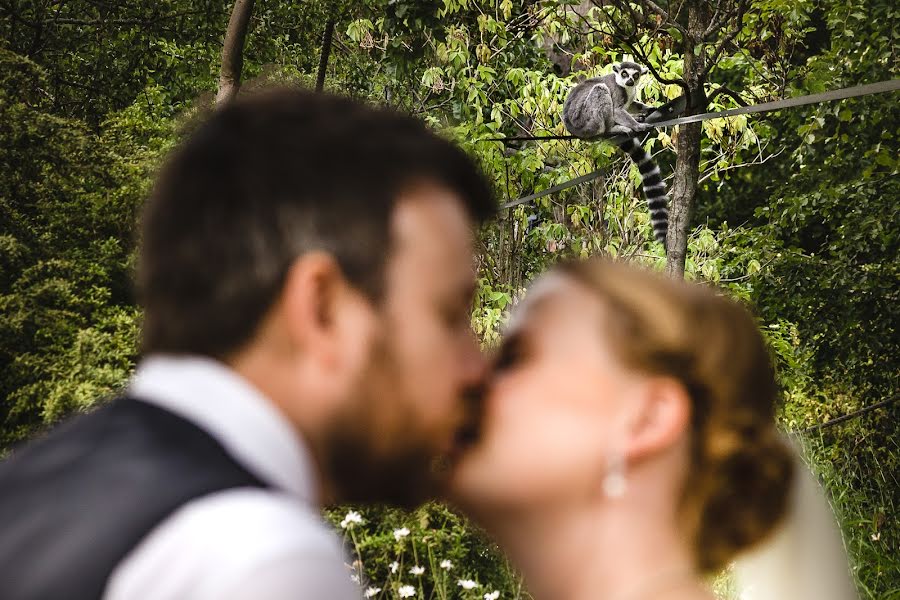 Wedding photographer Duncan McCall (duncanmccall). Photo of 12 January 2023