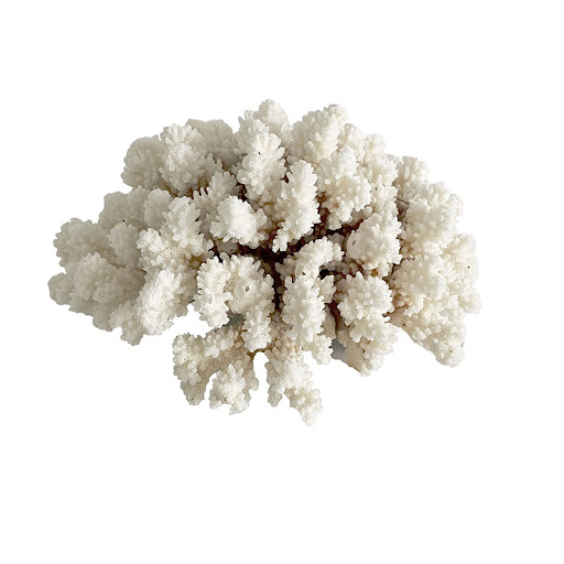 Title 3, Irregular Natural Ornaments with Korean Minorit...