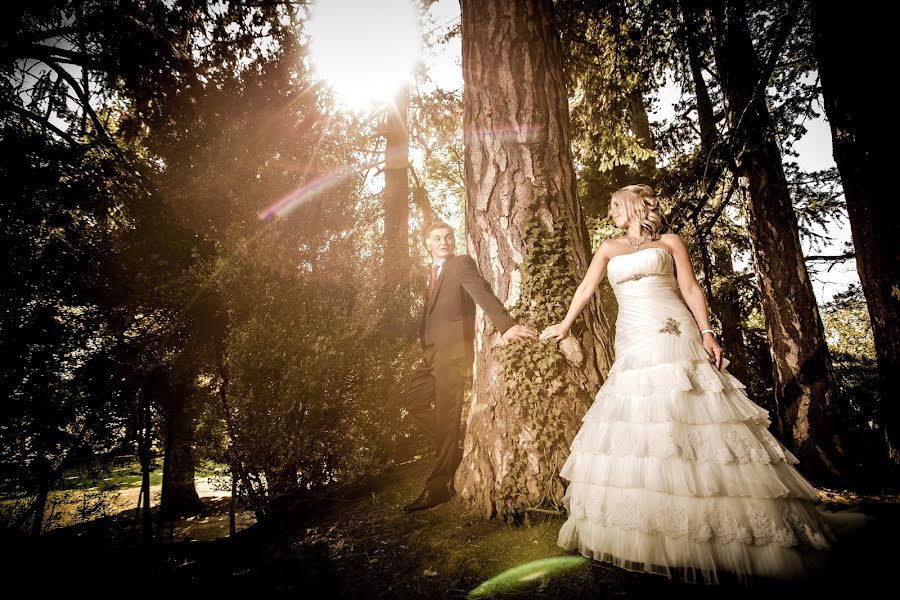 Fotógrafo de casamento Adrian Crisan (crisan). Foto de 19 de dezembro 2016