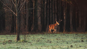 Backwoods MS Part 2-Old Fashioned Hunting thumbnail