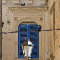 blue window  di 