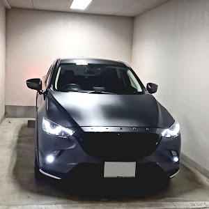 CX-3 DKEFW