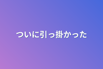 ついに引っ掛かった