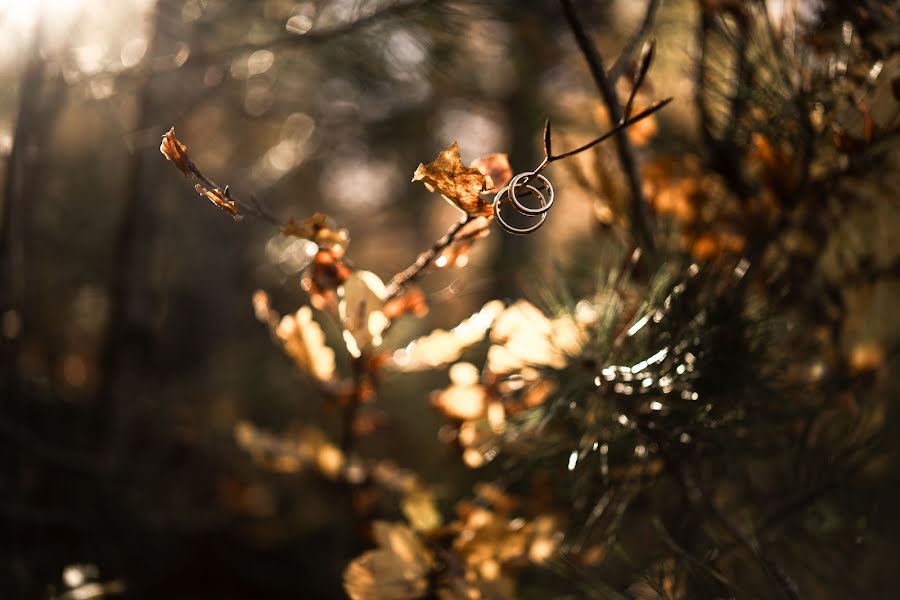 Hochzeitsfotograf Gianfranco Lacaria (gianfry). Foto vom 10. Dezember 2023