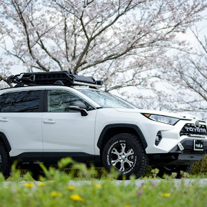 RAV4 MXAA52