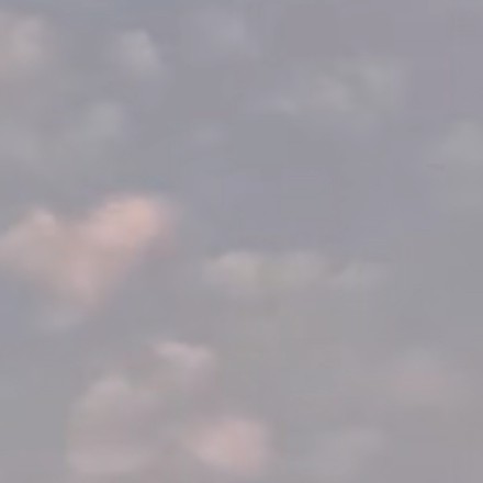くも