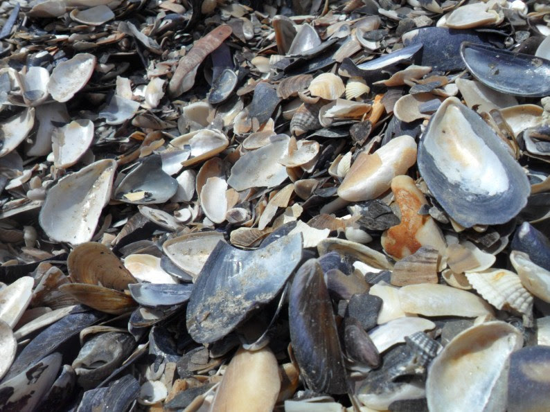 Сни про море