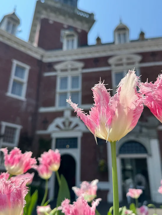 「カンヒュ描くどおおおお」のメインビジュアル