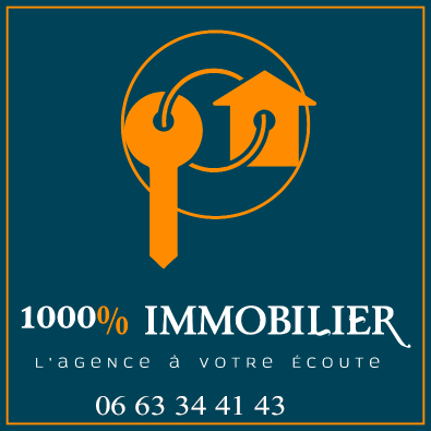 1000% IMMOBILIER