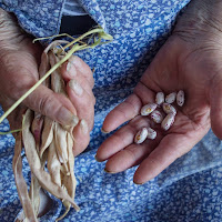 la diversità nelle sue mani  di 