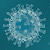 Coronavirus Cases