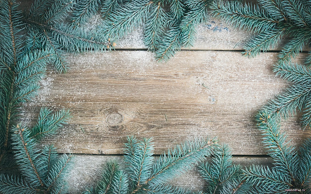 Spruce Background chrome extension