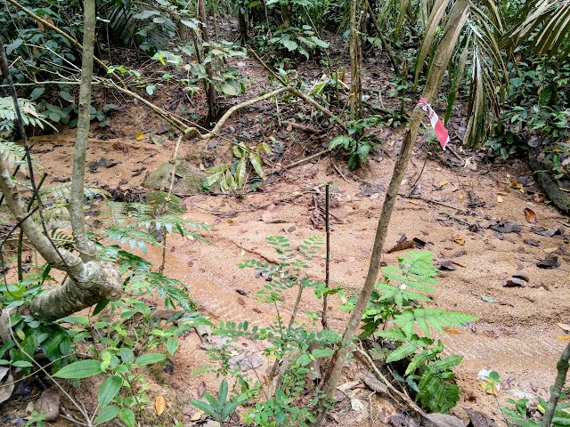 Bukit Bal Mini Stream to Tortoise Rock