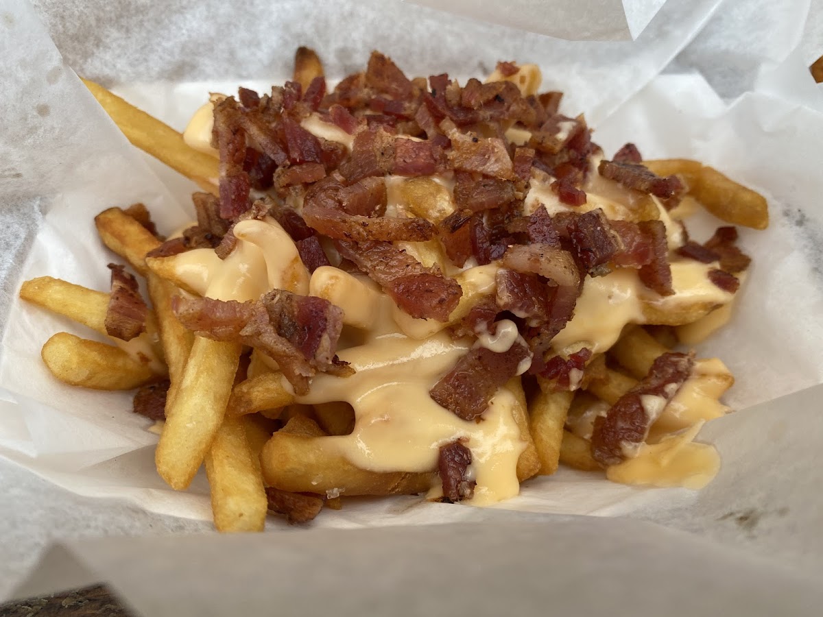 Bacon cheese fries