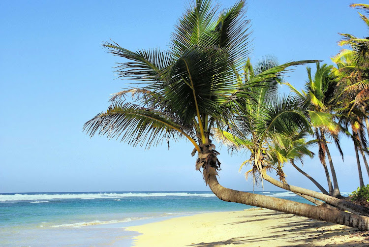 A long stretch of empty beach in Cuba. 