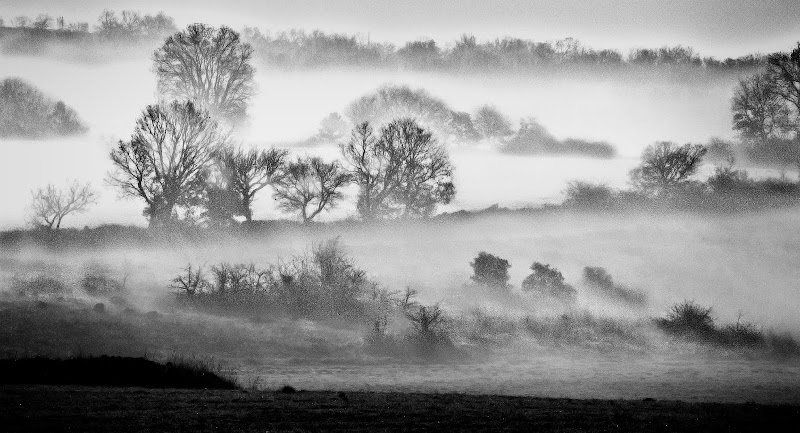 Brume autunnali di Pinco_Pallino