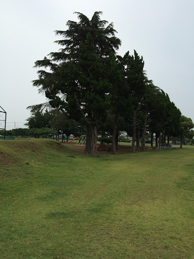 富士見公園