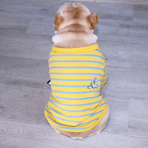 Title 8, Tiger Dog Spring and Autumn Winter French Bulld...