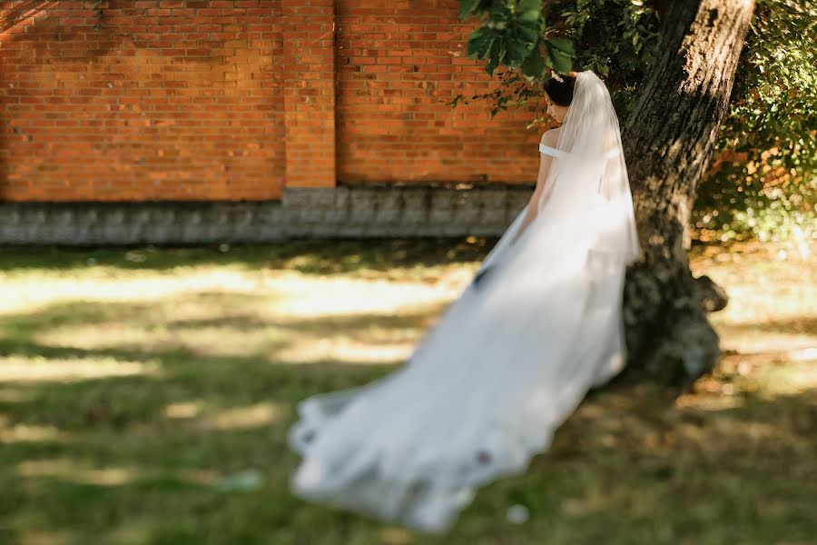 Photographe de mariage Aleksey Kozlov (kozlove). Photo du 29 août 2016