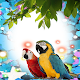 Download Macaw Birds Photo Frames For PC Windows and Mac 1.0