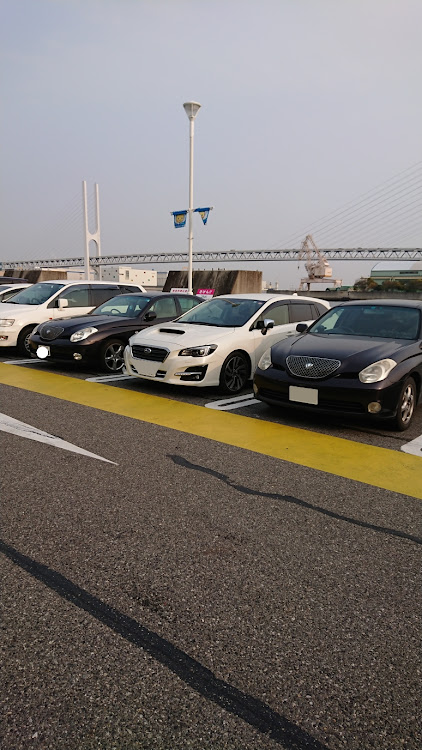 ヴェロッサのマイナー車・レアに関するカスタム事例の投稿画像1枚目