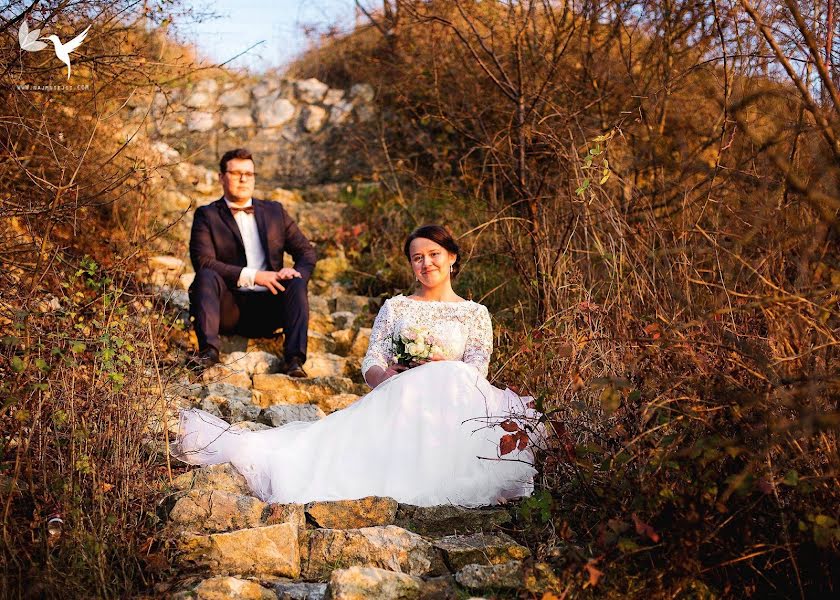 Fotografo di matrimoni Magdalena Ryłko Bednarz (najmniejsicom). Foto del 27 giugno 2021