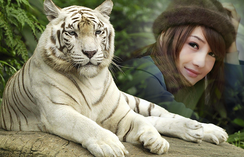 Animal Photo Frames Screen 2