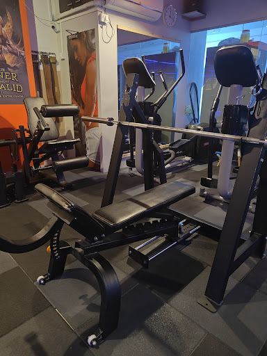 Gallery image 5