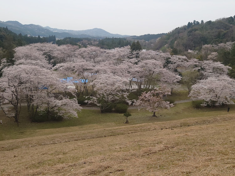 の投稿画像2枚目