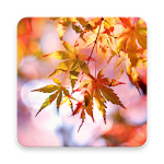 Cover Image of Baixar Beautiful Autumn Live Wallpaper 1.0.3 APK