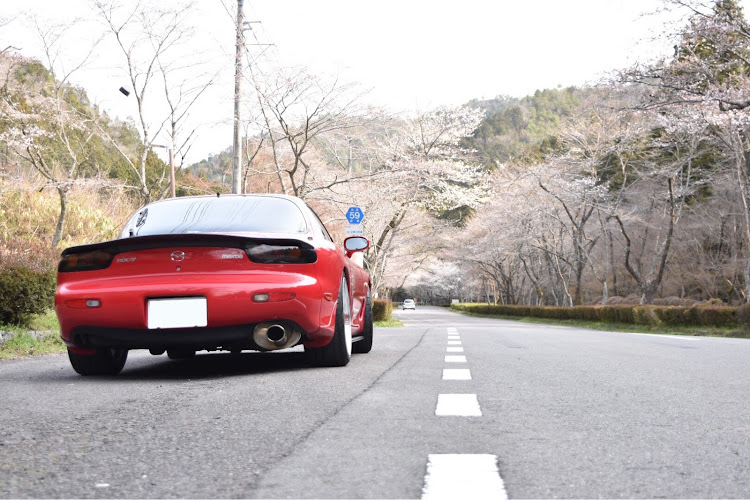 RX-7の桜🌸・花見ドライブ・満開はもう少し・寺尾ケ原千本桜に関するカスタム事例の投稿画像2枚目