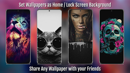 Screenshot Hipster Wallpapers HD / 4K