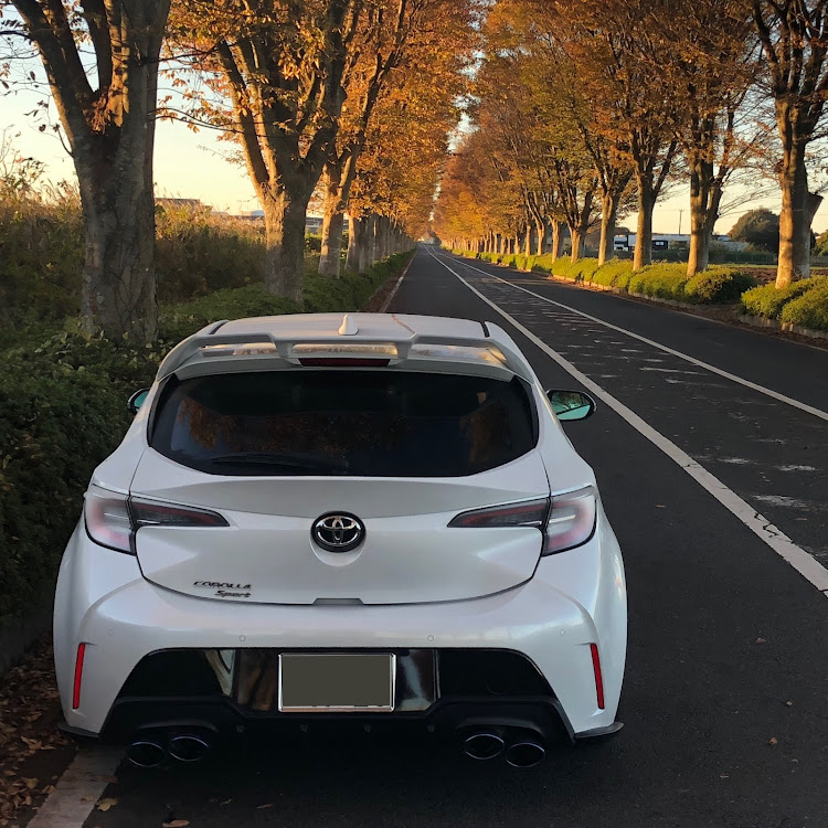 カローラスポーツのいいね＆フォロー＆コメントありがとうございます・朝カツ・朝日と愛車・紅葉も見納め🍁・11月もよろしくお願いしますに関するカスタム事例の投稿画像1枚目